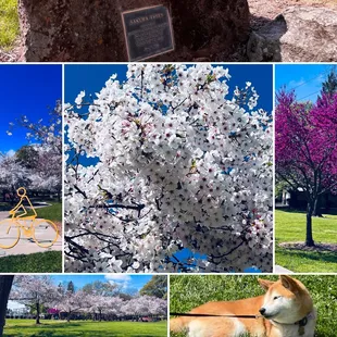 3.26.24