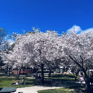 3.26.24