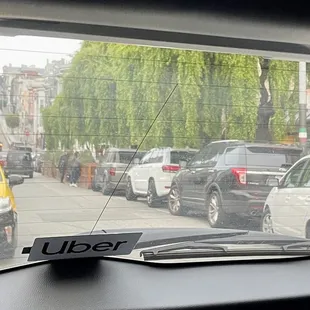 Front view, beautiful tree