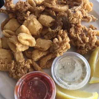 Fried Calamari