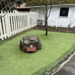 a rock in the yard