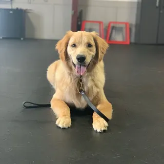 Khai V.