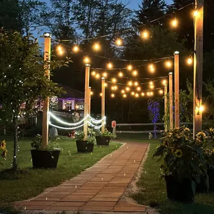a walkway lined with potted sunflowers