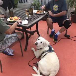 Dog friendly patio