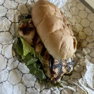 Gabby Chicken Sandwich