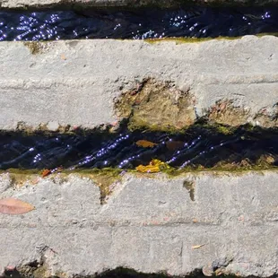 Blocks to cross the water are almost not high enough  10-20-2024