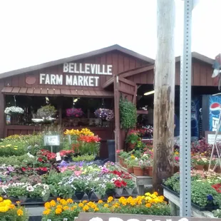 Belleville Farm Market on US 40 1/8 mile east of 39.