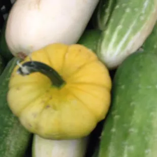 ucumbers and squash