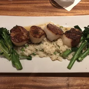 Scallops