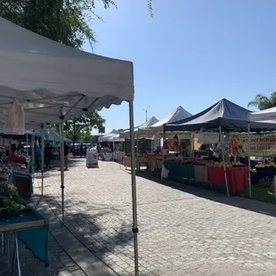 Just a small the view of the vegetable stands and set up.  About three rows of vendors.