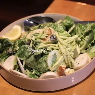 Shrimp Salad ($18) - too much dressing. Too heavy. Oishii shrimp, bibb lettuce &amp; spring mix, radishes, hakurei turnips, turnip top aioli.