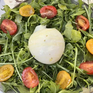 Burrata (V)