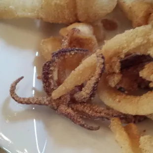 Fried Calamari