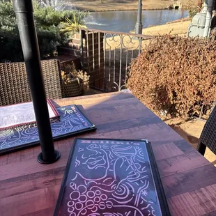 Patio/fountain (THERE ARE BEAUTIFUL SWANS)