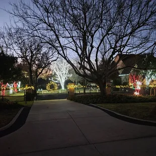 Christmas