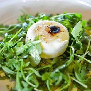 Burrata