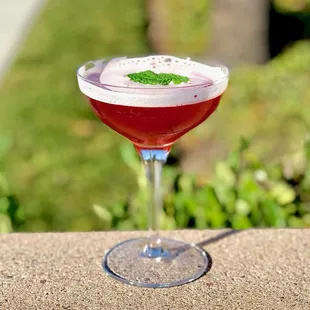 Rosso Ferrari.  Campari, gin and Branca Menta.  This week only.