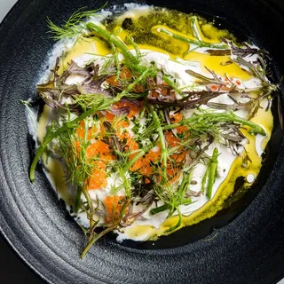 Burrata