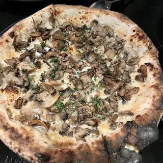 Funghi