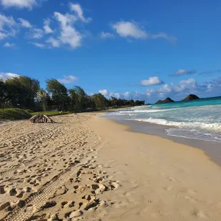 Aloha Friday