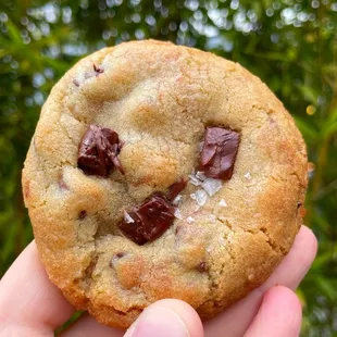 Chocolate chunk cookie