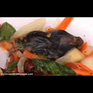 Dead mouse in Belly Backers plate.