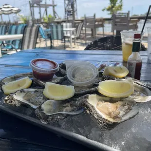 a tray of oysters