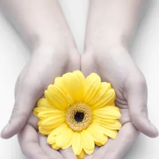 Serving Louisville Since 1943 with the freshest Flowers available