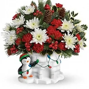 Send a Hug Penguin Style $49.95