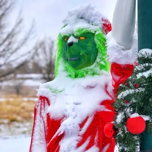 Mean old grinch