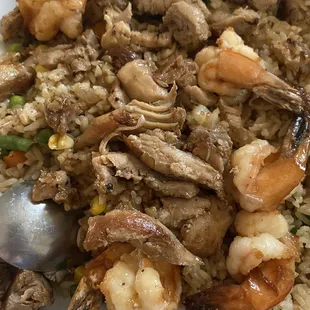 Opted for the shrimp and chicken fried rice