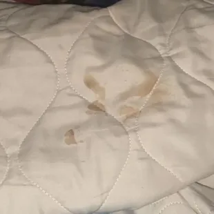 Who knows what THIS is