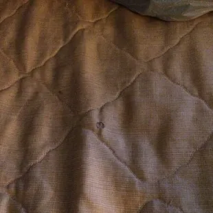 Cigarette burn on the bedcover.