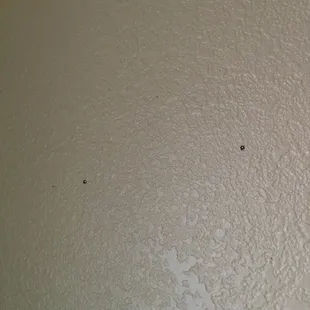 Bullet holes from buck shots or BB guns.