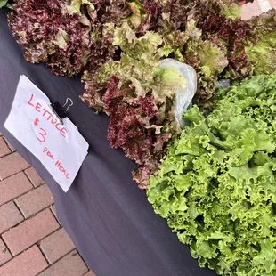 Lettuce!