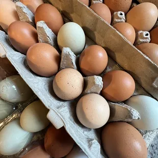 Farm fresh eggs