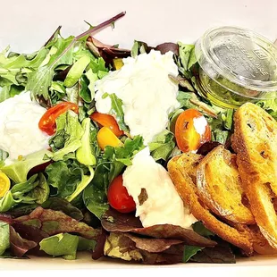 Burrata salad - Organic mixed leaves, organic cherry tomatoes, burrata cheese, basil, crostini, 8 years aged balsamic Giuseppe Giusti
