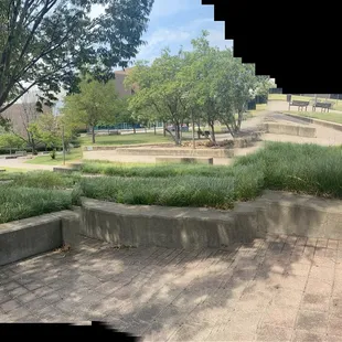 Plant material and landscaping at the Belvedere.