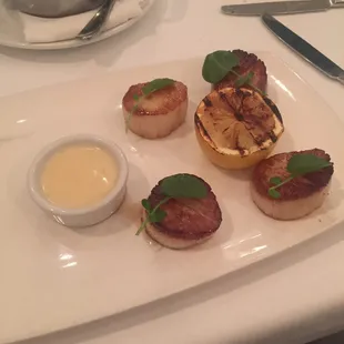 Diver Scallops