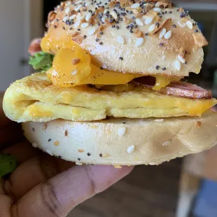 Egg and Cheddar Cheese Bagel