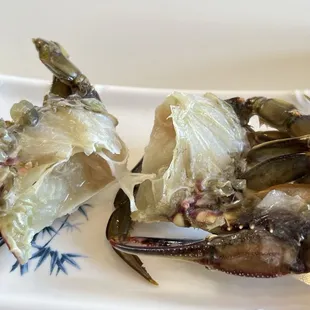 mussels, oysters and mussels, shellfish, food, oysters