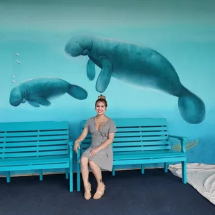 Manatees !!! Outside the front door