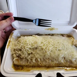 Verde Wet Burrito