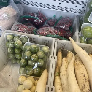 a variety of vegetables