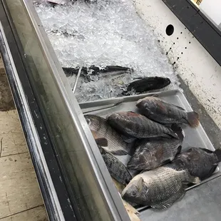 Seafood for sale