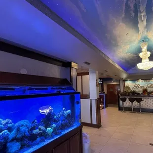 a fish tank in a restaurant