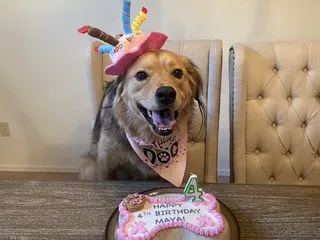 Speedway Veterinary Hospital