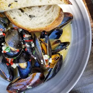Mussels