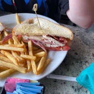 a sandwich and fries