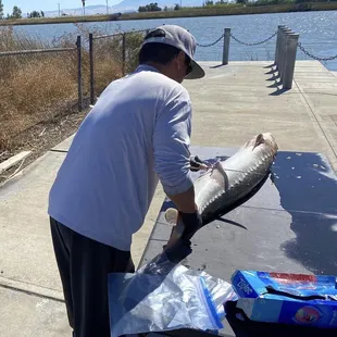 Filet sturgeon time